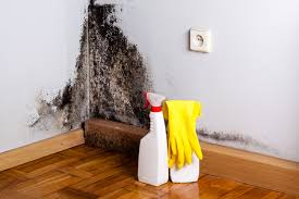 Best Dehumidification Services  in Coats Bend, AL